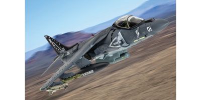  1/48 マクドネル・ダグラス AV-8B+ ハリアー II  165001/01 VMA-214 ‘Black Sheep'  [No.CGAA29303]